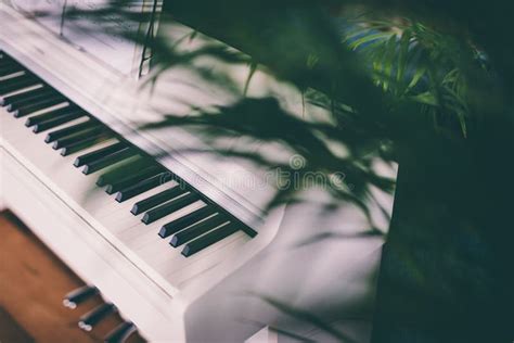 Classic White Piano Keyboard Stock Image - Image of classical ...