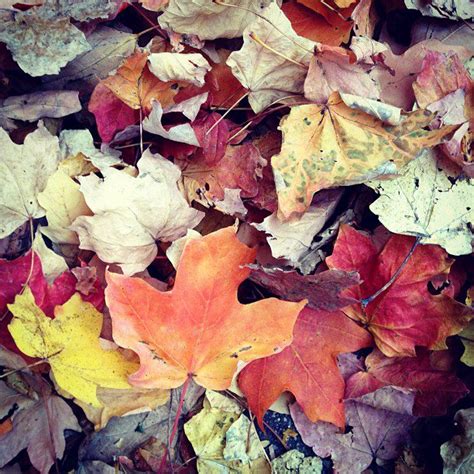 Get in that Autumn mood with this Fall Music Playlist - Punky Moms - A Parenting Website For The ...