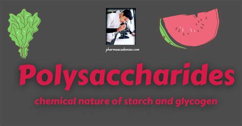 Polysaccharides: chemical nature of starch and glycogen - Pharmaacademias