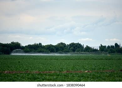 Agricultural Irrigation System Watering Wheat Corn Stock Photo 1838390464 | Shutterstock