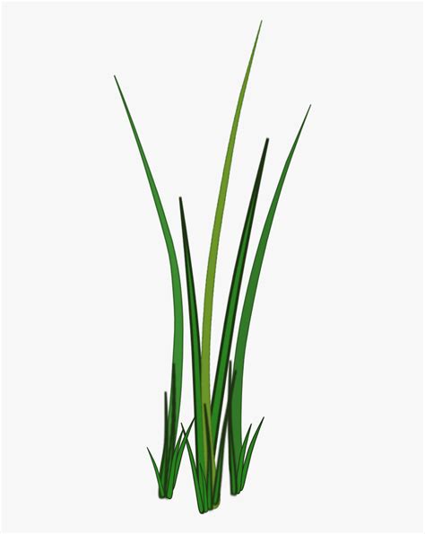 Grass Png Texture - Texture Grass 2d Png, Transparent Png , Transparent ...