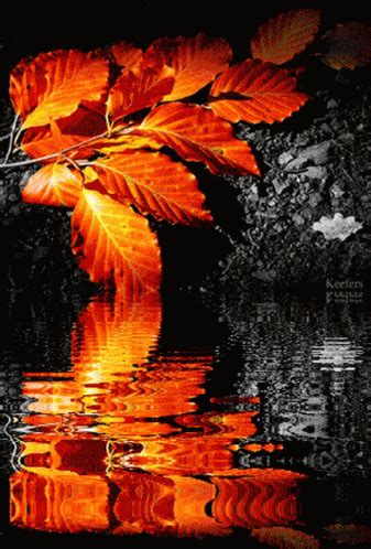 Autumn Leaves GIF - Autumn Leaves - Discover & Share GIFs