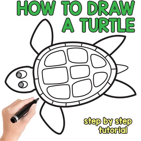 How to Draw a Turtle - Step by Step Drawing Tutorial - Easy Peasy and Fun