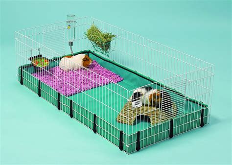 Guinea Pig Cage Size Guide - The Best Homes For Guinea Pigs