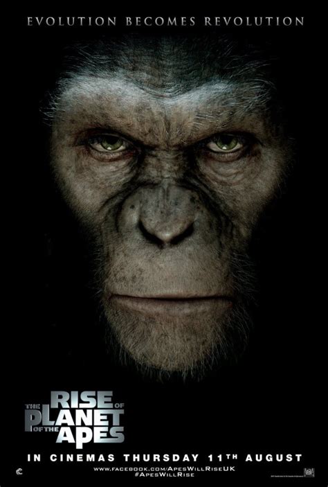 Katie's Film Reviews: RISE OF THE PLANET OF THE APES REVIEW