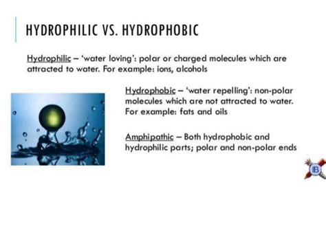 Hydrophobic vs Hydrophilic