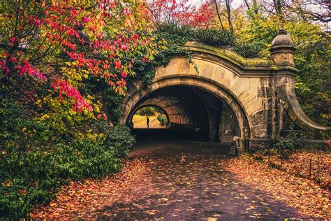 Brooklyn - Autumn in Prospect Park | Prospect park brooklyn, Autumn in new york, New york travel