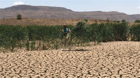 IFRC promises $110 million for drought relief in Southern Africa ...