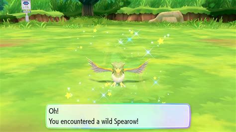 [let's go] Shiny Spearow in less than 30 seconds after started the game today! what's the record ...