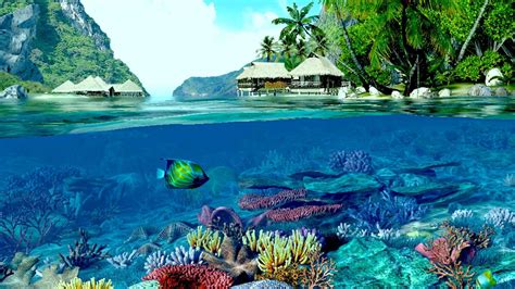 Coral Reef Wallpaper HD (65+ images)