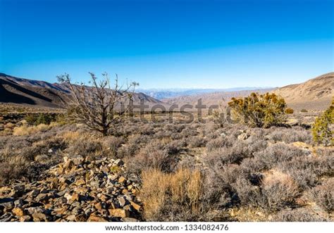 Landmarks Geologic Wonder Death Valley National Stock Photo 1334082476 | Shutterstock