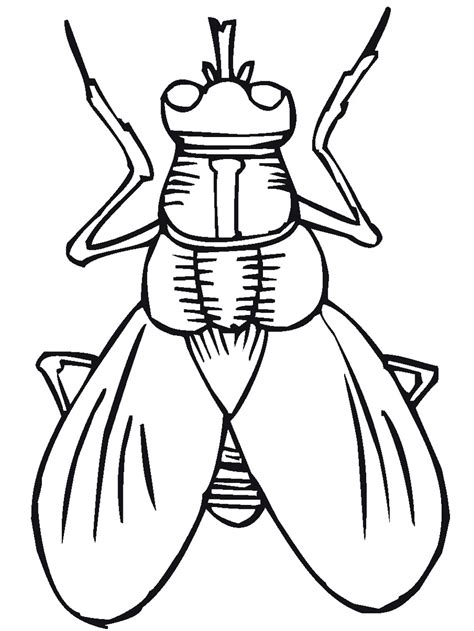 Free Printable Bug Coloring Pages For Kids