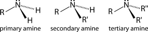 Amines | CK-12 Foundation