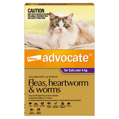 Buy Advocate Cat Large Purple Online | Better Prices At Pet Circle