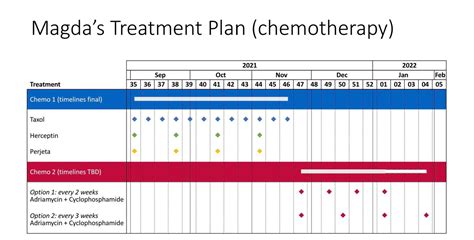 My Chemotherapy Plan — Magda Milczarska