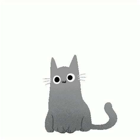 Cat Fart Sticker - Cat Fart Jump - Discover & Share GIFs