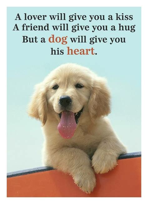 Pin by Cindy Bell on Dog Quotes | Baby dogs, Cute puppies, Cute puppy ...