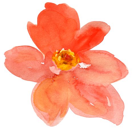 water color flowers - Saferbrowser Image Search Results | Aquarela, Flores rosas, Flores