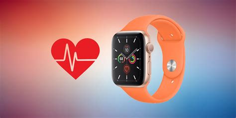 How Apple Watch Measures Heart Rate & Its Accuracy Explained