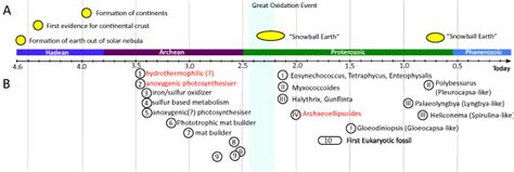 Timeline with prokaryotic fossil record. Timeline with geological... | Download Scientific Diagram