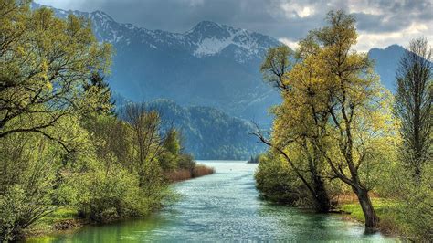 alberi sul lato del fiume hd sfondo del desktop : A grande schermo : ad alta definizione a ...