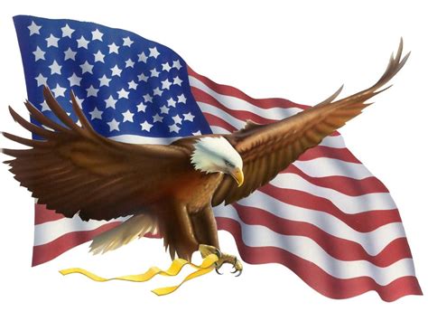 american eagle with flag clipart 10 free Cliparts | Download images on ...