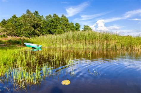 How To Improve Fish Habitat in Small Ponds