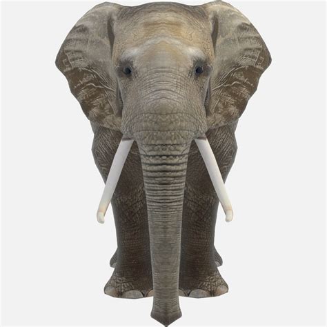 African Elephant - 3D Model by GabrielCasamasso