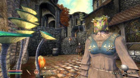 Images The Elder Scrolls IV : Oblivion - Shivering Isles