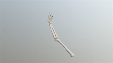 Skeleton Arm - Download Free 3D model by ZachCHale (@zachariah.the.hale) [0720062] - Sketchfab