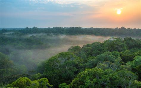 Clima do Amazonas - características, período de chuvas, temperaturas - InfoEscola