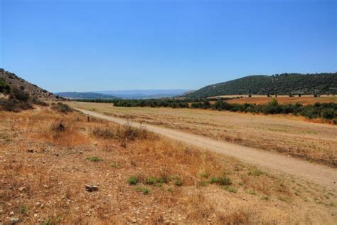 The Valley of Elah | Israel history, The valley, Israel