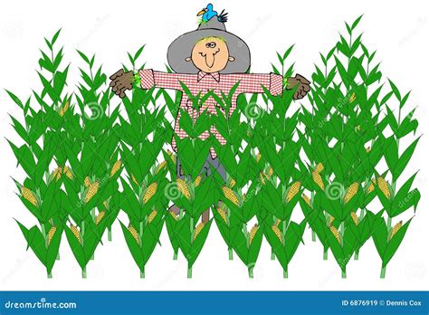 Scarecrow in a Corn Field stock illustration. Illustration of harvest - 6876919