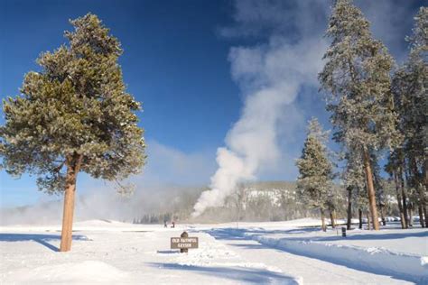 300+ Old Faithful Winter Stock Photos, Pictures & Royalty-Free Images - iStock