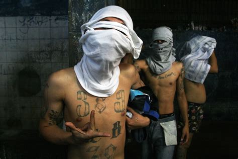 MS-13 Recruited by the Sinaloa Cartel ~ Borderland Beat