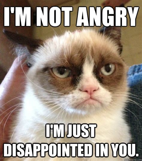 Not Amused Grumpy Cat memes | quickmeme