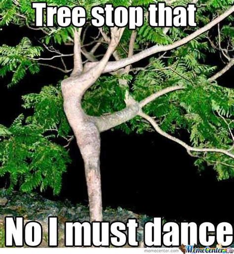 Tree-Meme-Tree-stop-that-no-i-must-dance.jpg - Arb Memes - Arbtalk ...