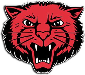 bearcat-logo - Bearcat Foundation Inc.