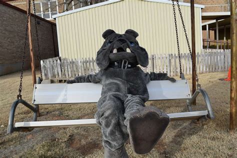 Plainview High School mascot set to perform at Cheez-It Citrus Bowl