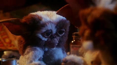 Gremlins Gizmo Wallpaper - WallpaperSafari