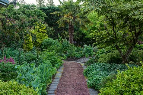 Linda Cochran's Garden: Down the Garden Path