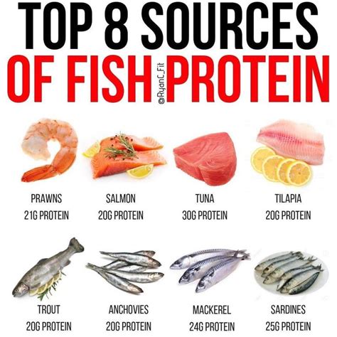 🐟Fish Protein 🐟⠀ ⠀ ⠀⠀ Fish is probably one of the most underated ...