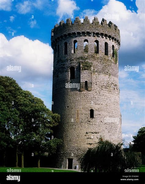 Ormonde Castle, Carrick-On-Suir, Co Tipperary, Ireland Stock Photo - Alamy