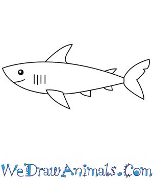 How to Draw a Simple Shark for Kids