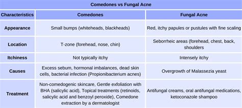 Comedones vs Fungal Acne: Differences and Effective Treatment Approaches