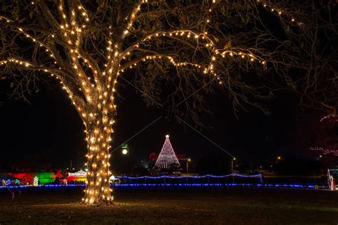 Zilker Holiday Tree as seen surronded by the Zilker Park Trail of ...