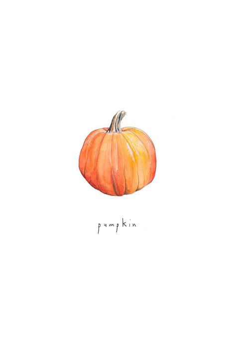 Pumpkin illustration by Aisling Teevan, watercolour and coloured pencil ...