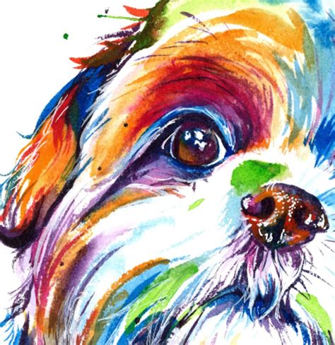 Colorful Shih Tzu Watercolor Print Art Print of My Original - Etsy ...