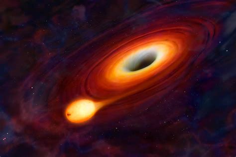 Sun-like Star Devoured by Black Hole: Astronomers Make 'Missing Link ...
