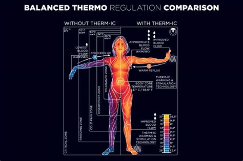 What is Thermoregulation? - Therm-ic